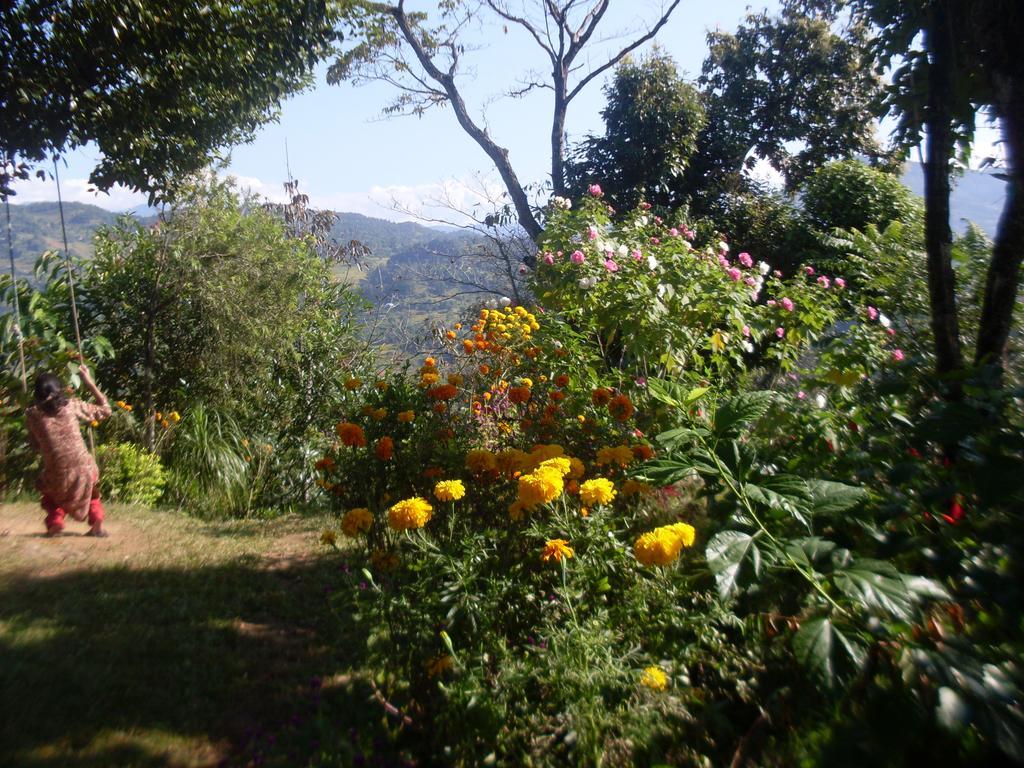 Dinesh House Bed & Breakfast Pokhara Exterior photo